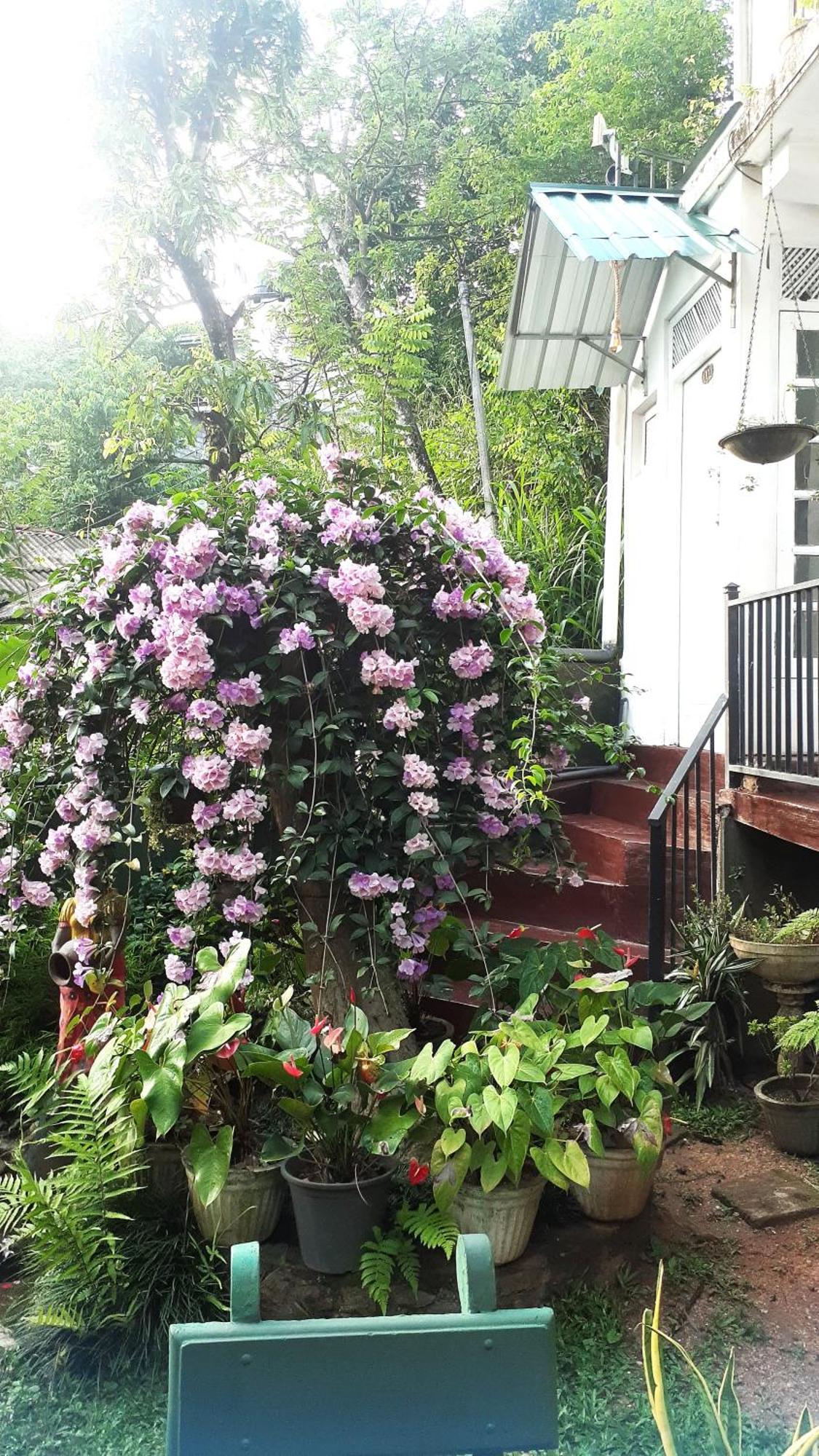Kandy Mountain Cottage Exterior photo